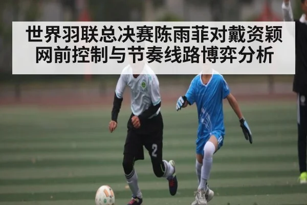 世界羽联总决赛陈雨菲对戴资颖网前控制与节奏线路博弈分析 - kaiyun sports app